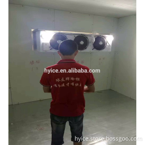 Factory dircet supply high quality PU sandwich panel cold room/food and vegetable cold storage